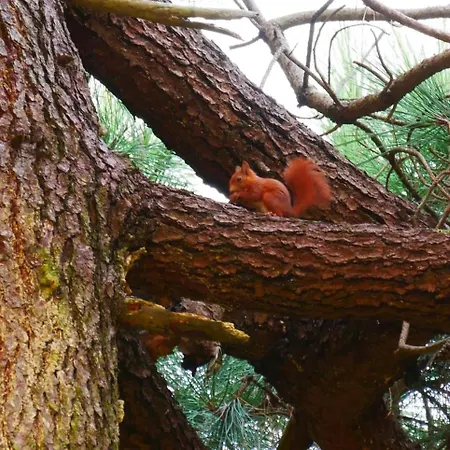 度假居 La Maison Squirrel 滨海苏拉克
