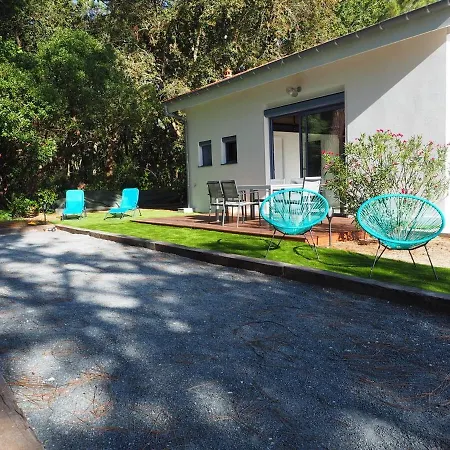 La Maison Squirrel *